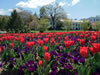 The Greenbrier Gardens